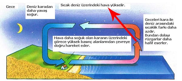 Gece Meltemi